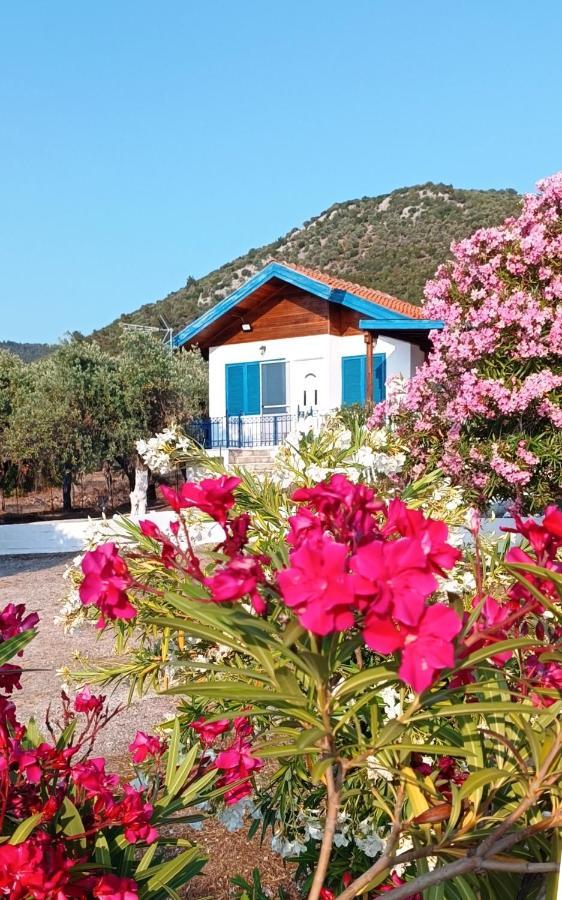Villas Kiriaki Kallirákhi Dış mekan fotoğraf