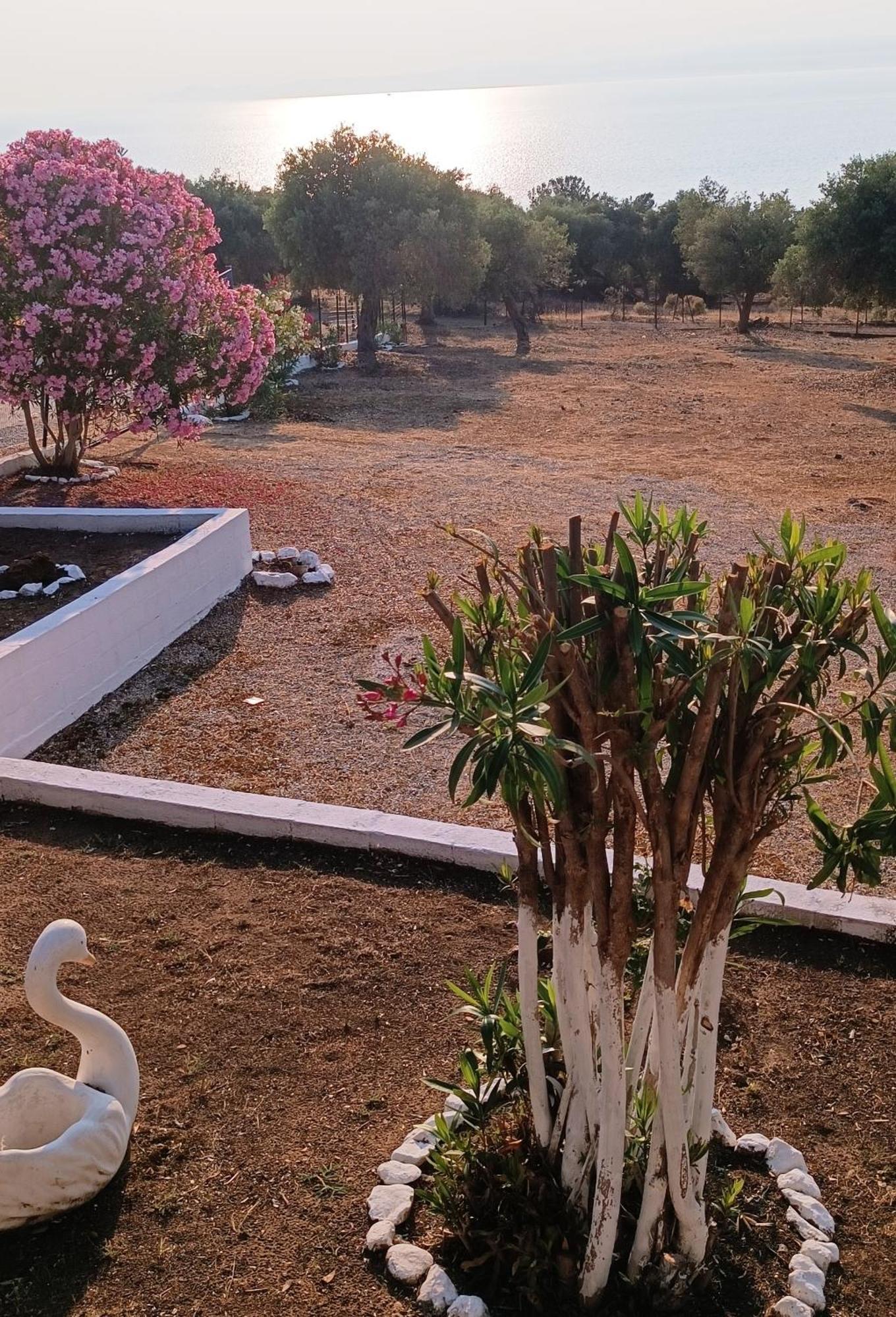 Villas Kiriaki Kallirákhi Dış mekan fotoğraf